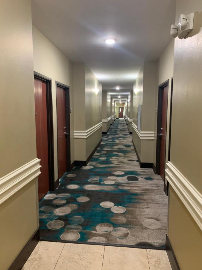 Rodeway Inn & Suites Winnfield Dış mekan fotoğraf